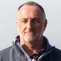 David Brook