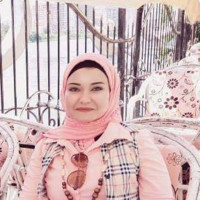 Sara Mesalam