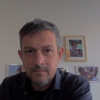 Domenico R. Stefanelli