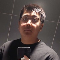 Lam Ho