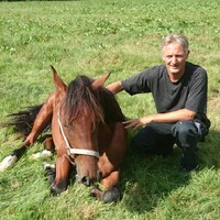 Morten Krogsholm