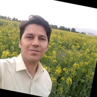 mehrdad seyfi