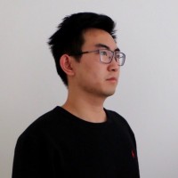 Shaoting Yin