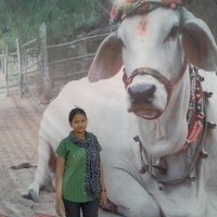 NIKITA RAJPUROHIT