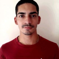 Enzo Gabriel Costa Dos Santos