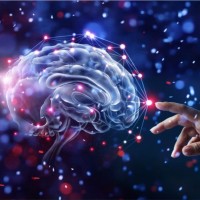Tests de NeuroGrafología