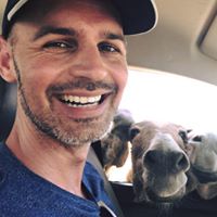 Dave Dielissen