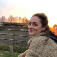 Iris van de Wetering