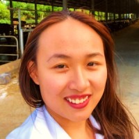 Linh Bui