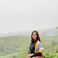 Phuong Vi Nguyen
