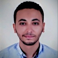 Karim Hassan
