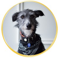 Fynn Pankhurst