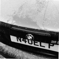 Noel Purcell