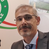 Nicola Vismara