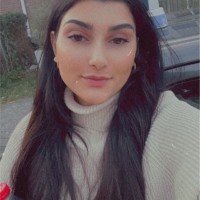Dilek Ari