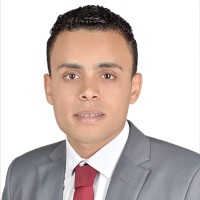 Hussein Mohamed Elsabagh