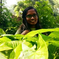 Anju Mohan