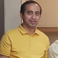 Mohsen R Marandi