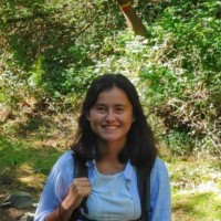 Mariana Falcão Amorim