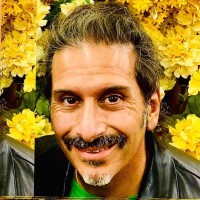 Brian H Shaoul