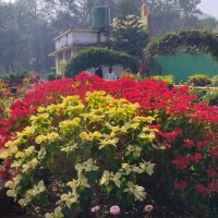 Susmita Behera