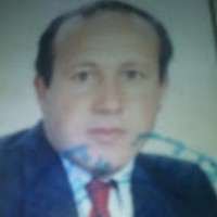 ali briki