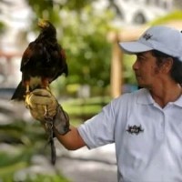 Nev Joson