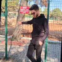 Enes Zorlu