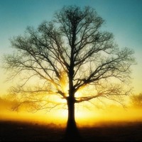 Phillip Engle
