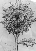 Joseph Flowers