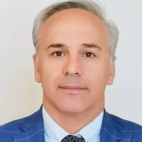 Vahid Mahin