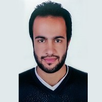 mohamed amin