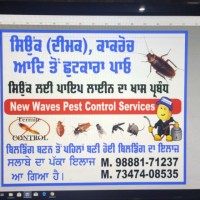 Pest control service Nawanshahr