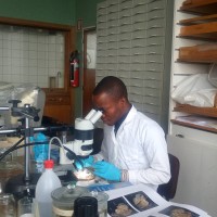 Zinsou Cosme Koudenoukpo, Phd.