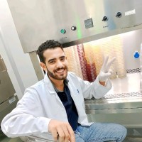 Ahmed Adel
