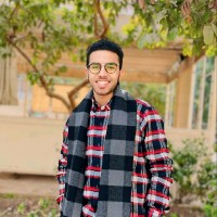 Mostafa Gamal
