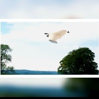 Emmanuel (Manny) Trainor