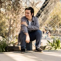 Nicolás Rebolledo Lema