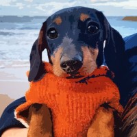 MJ D.