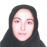 Mitra Afzali