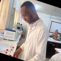Ernest Wemegah