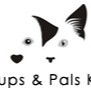 PUPSANDPALSK9 GURGAON