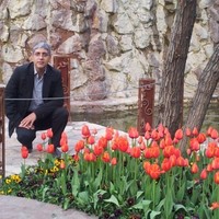Masoud Rezaei Saman Kandi