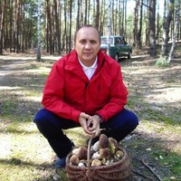 Igor Babich