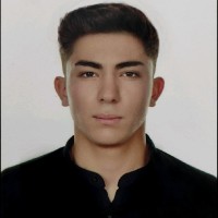 Halil Şahin