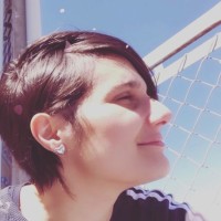 Cristiane F. S. Martins