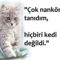 Murat Epli