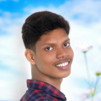 VISHNU P K