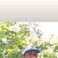 Hakkan Taşpınar