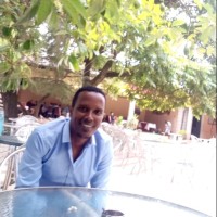 Kinfu Hailu